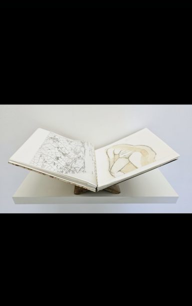 Everything is Extraordinary