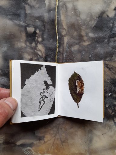 Leaf Miner minature book